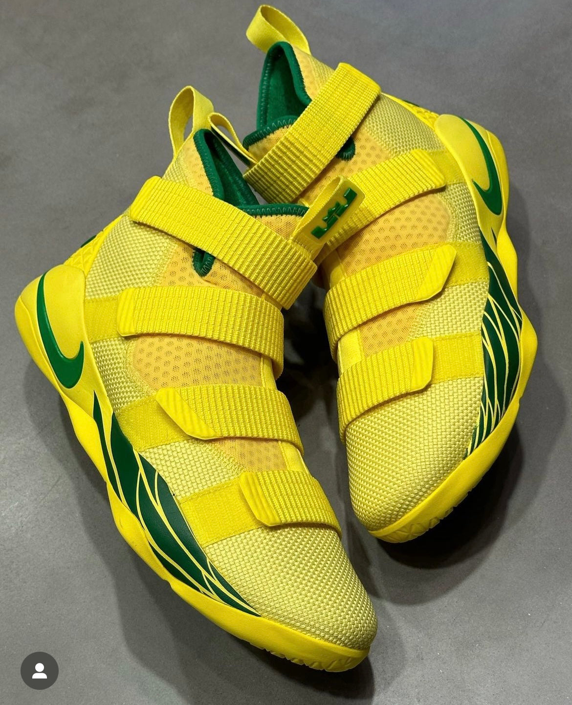 Lebron Soldier 11 Oregon University